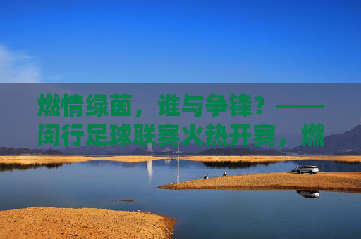 燃情绿茵,谁与争锋?——闵行足球联赛火热开赛,燃情绿茵,谁与争锋,闵行足球联赛火热开赛