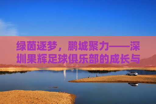 绿茵逐梦,鹏城聚力——深圳果辉足球俱乐部的成长与展望