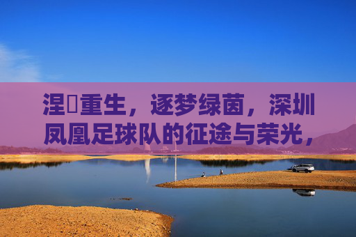 涅槃重生，逐梦绿茵，深圳凤凰足球队的征途与荣光，涅槃重生逐梦绿茵，深圳凤凰足球队的征途与荣光