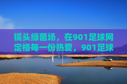 镜头绿茵场，在901足球网定格每一份热爱，901足球网，镜头定格绿茵场每一份热爱
