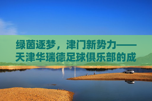 绿茵逐梦，津门新势力——天津华瑞德足球俱乐部的成长与坚守，绿茵逐梦，津门新势力——天津华瑞德足球俱乐部的成长与坚守
