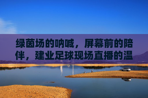 绿茵场的呐喊,屏幕前的陪伴,建业足球现场直播的温度与力量,绿茵呐喊,屏幕陪伴,建业足球直播的温度与力量