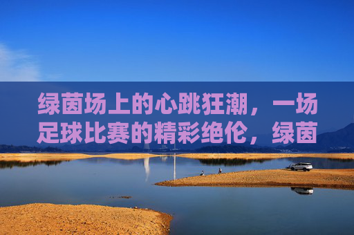 绿茵场上的心跳狂潮，一场足球比赛的精彩绝伦，绿茵心跳狂潮，足球赛精彩绝伦