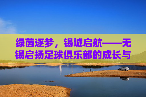 绿茵逐梦,锡城启航——无锡启扬足球俱乐部的成长与展望,无锡启扬足球俱乐部,锡城绿茵的成长与展望