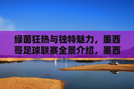 绿茵狂热与独特魅力,墨西哥足球联赛全景介绍,墨西哥足球联赛,绿茵狂热与独特魅力全景