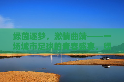 绿茵逐梦，激情曲靖——一场城市足球的青春盛宴，绿茵逐梦，激情曲靖，城市足球的青春盛宴