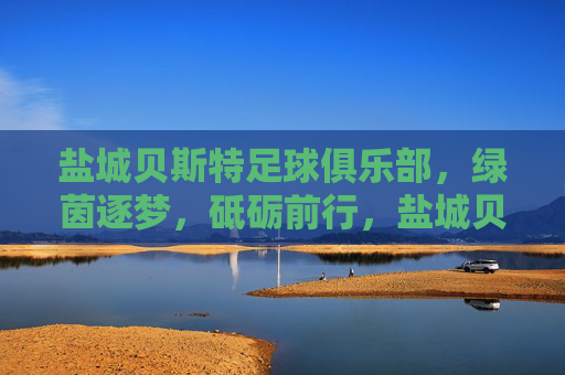 盐城贝斯特足球俱乐部，绿茵逐梦，砥砺前行，盐城贝斯特，绿茵逐梦，砥砺前行
