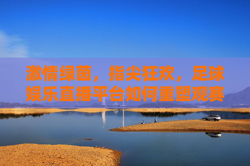 激情绿茵,指尖狂欢,足球娱乐直播平台如何重塑观赛体验?