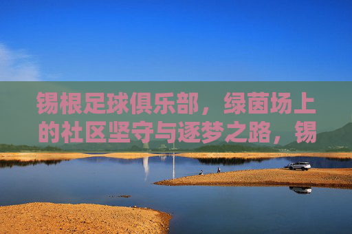 锡根足球俱乐部，绿茵场上的社区坚守与逐梦之路，锡根足球俱乐部，绿茵场上的社区坚守与逐梦之路