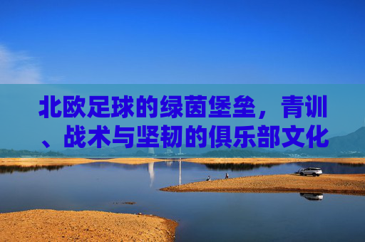 北欧足球的绿茵堡垒,青训、战术与坚韧的俱乐部文化