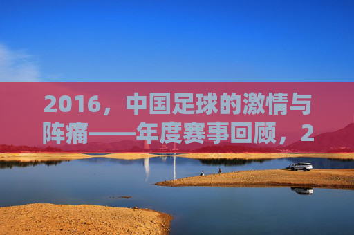 2016，中国足球的激情与阵痛——年度赛事回顾，2016中国足球，激情与阵痛的年度回顾