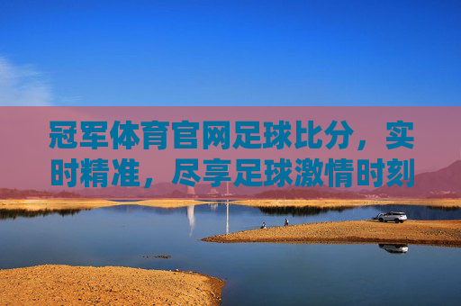 冠军体育官网足球比分，实时精准，尽享足球激情时刻，冠军体育官网足球比分，实时精准，尽享足球激情时刻