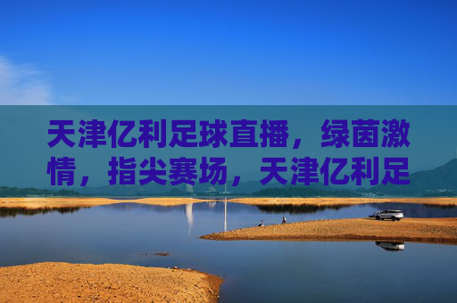 天津亿利足球直播，绿茵激情，指尖赛场，天津亿利足球直播，绿茵激情指尖赛场