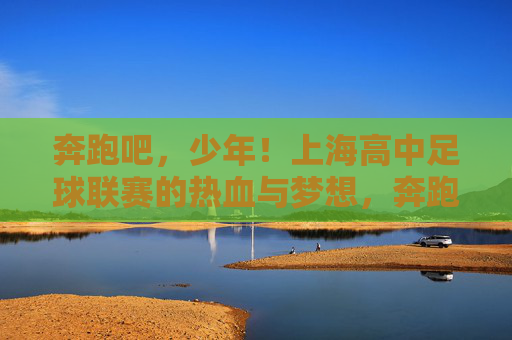 奔跑吧，少年！上海高中足球联赛的热血与梦想，奔跑吧，少年！上海高中足球联赛的热血逐梦
