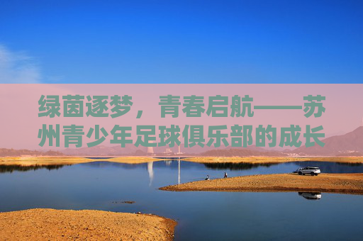 绿茵逐梦，青春启航——苏州青少年足球俱乐部的成长之路，绿茵逐梦，青春成长——苏州青少年足球俱乐部之路
