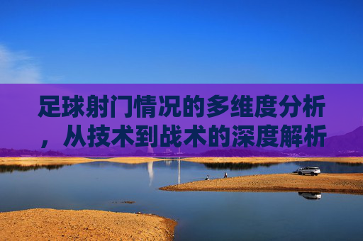 足球射门情况的多维度分析,从技术到战术的深度解析,足球射门,技术到战术的多维度深度解析