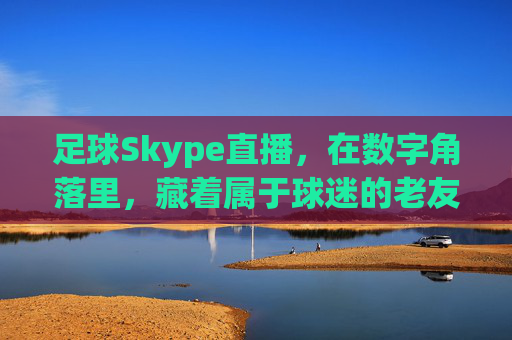 足球Skype直播,在数字角落里,藏着属于球迷的老友记,数字角落的足球老友记,Skype直播里的球迷时光