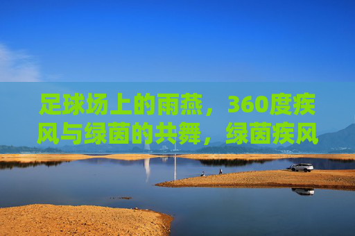 足球场上的雨燕,360度疾风与绿茵的共舞,绿茵疾风与雨燕的360度共舞