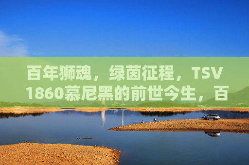 百年狮魂，绿茵征程，TSV 1860慕尼黑的前世今生，百年狮魂，绿茵征程，TSV 1860慕尼黑的前世今生