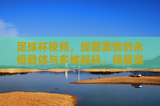 足球杯视频,绿茵激情的永恒载体与多维解码,绿茵激情的永恒载体,足球杯视频的多维解码