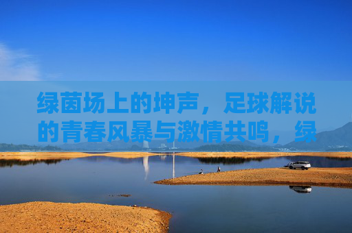 绿茵场上的坤声，足球解说的青春风暴与激情共鸣，绿茵青春风暴，足球解说的激情共鸣