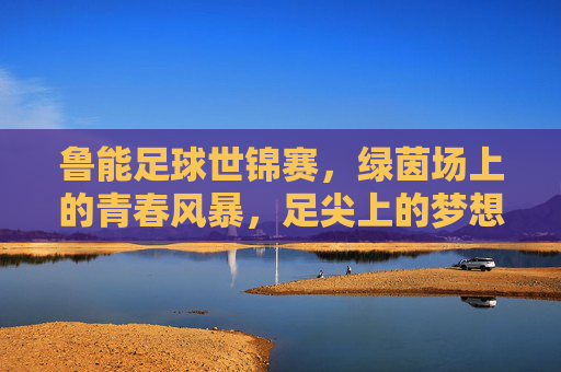 鲁能足球世锦赛,绿茵场上的青春风暴,足尖上的梦想传承,鲁能足球世锦赛,绿茵青春风暴,足尖梦想传承