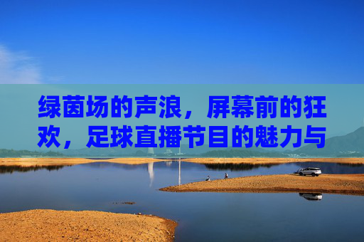 绿茵场的声浪,屏幕前的狂欢,足球直播节目的魅力与陪伴,足球直播,绿茵声浪与屏幕狂欢的魅力陪伴