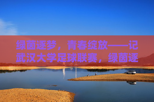 绿茵逐梦，青春绽放——记武汉大学足球联赛，绿茵逐梦，青春绽放——武汉大学足球联赛