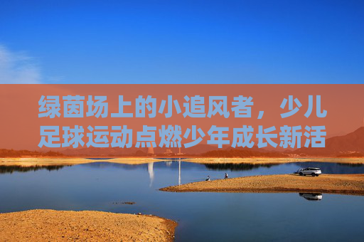 绿茵场上的小追风者,少儿足球运动点燃少年成长新活力,绿茵小追风,足球点燃少年成长新活力