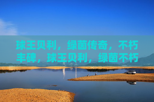 球王贝利，绿茵传奇，不朽丰碑，球王贝利，绿茵不朽传奇