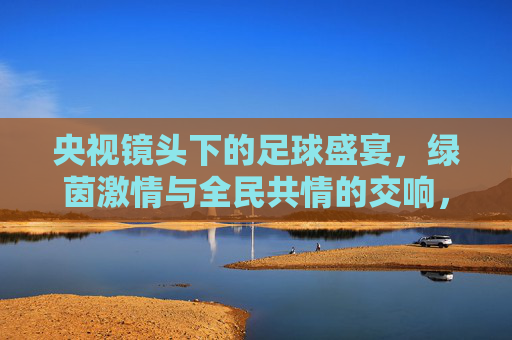 央视镜头下的足球盛宴,绿茵激情与全民共情的交响,央视足球盛宴,绿茵激情与全民共情的交响