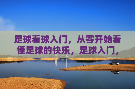 足球看球入门,从零开始看懂足球的快乐,足球入门,从零看懂的快乐