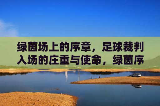 绿茵场上的序章,足球裁判入场的庄重与使命,绿茵序章,裁判入场的庄重使命