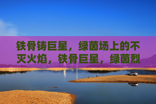 铁骨铸巨星,绿茵场上的不灭火焰,铁骨巨星,绿茵烈焰