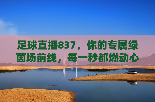 足球直播837,你的专属绿茵场前线,每一秒都燃动心跳,足球直播837,专属绿茵前线,燃动每一秒心跳