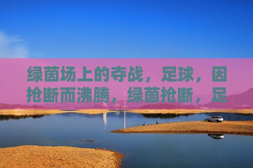 绿茵场上的夺战,足球,因抢断而沸腾,绿茵抢断,足球沸腾