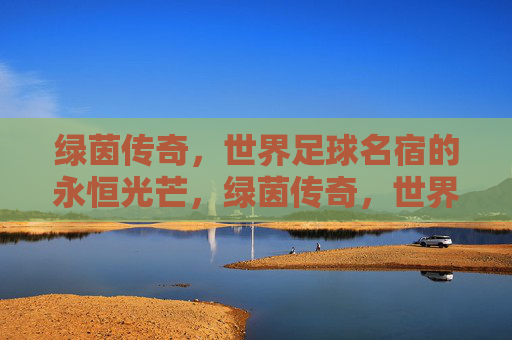 绿茵传奇,世界足球名宿的永恒光芒,绿茵传奇,世界足球名宿的永恒光芒