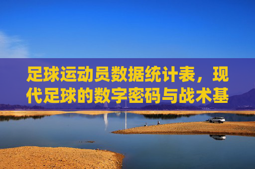 足球运动员数据统计表，现代足球的数字密码与战术基石，足球运动员数据统计表，现代足球的数字密码与战术基石