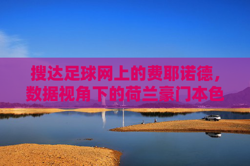 搜达足球网上的费耶诺德,数据视角下的荷兰豪门本色,费耶诺德,数据视角下的荷兰豪门本色