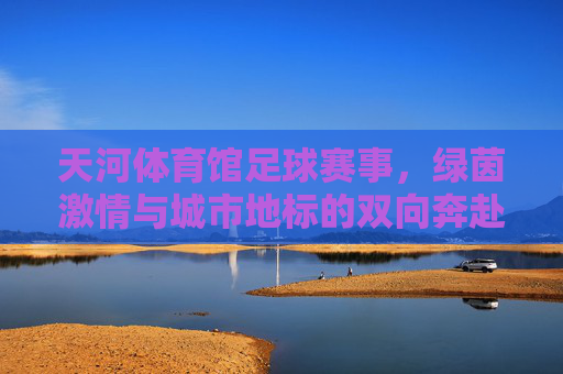 天河体育馆足球赛事，绿茵激情与城市地标的双向奔赴，天河体育馆，绿茵激情与城市地标的双向奔赴