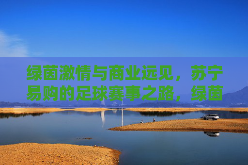 绿茵激情与商业远见，苏宁易购的足球赛事之路，绿茵激情与商业远见，苏宁易购的足球赛事之路