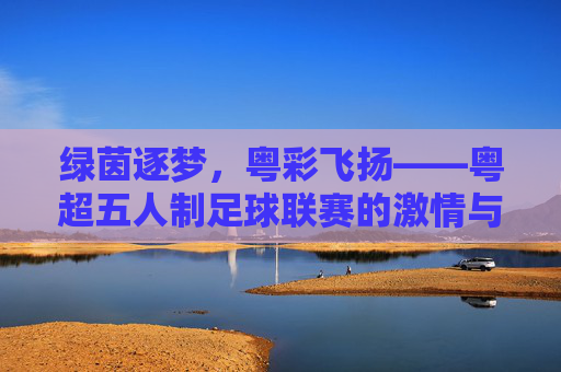 绿茵逐梦，粤彩飞扬——粤超五人制足球联赛的激情与活力，绿茵逐梦，粤彩飞扬——粤超五人制足球联赛