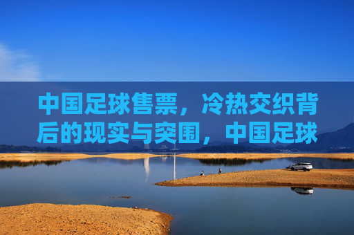 中国足球售票,冷热交织背后的现实与突围,中国足球售票,冷热交织的现实与突围