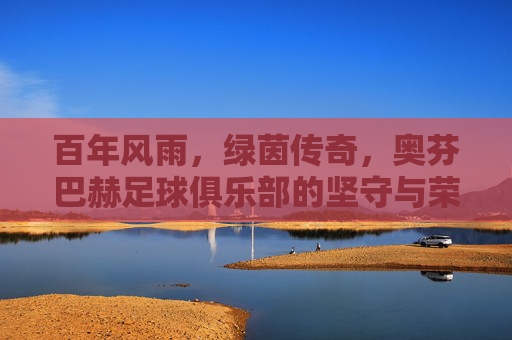 百年风雨,绿茵传奇,奥芬巴赫足球俱乐部的坚守与荣光