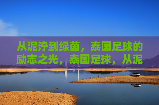 从泥泞到绿茵,泰国足球的励志之光,泰国足球,从泥泞到绿茵的励志之光