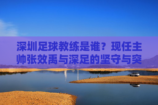 深圳足球教练是谁？现任主帅张效禹与深足的坚守与突围，张效禹与深足，坚守与突围之路