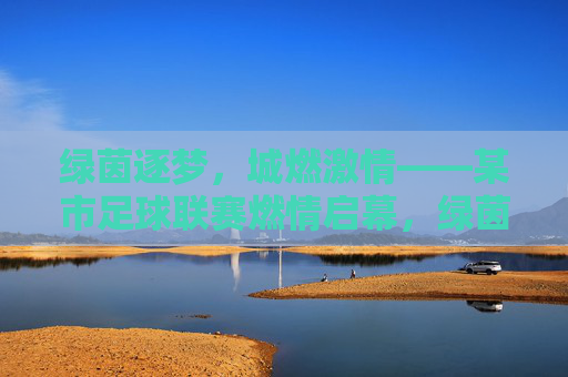 绿茵逐梦，城燃激情——某市足球联赛燃情启幕，绿茵逐梦，城燃激情——某市足球联赛燃情启幕