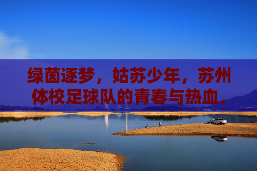 绿茵逐梦,姑苏少年,苏州体校足球队的青春与热血,绿茵逐梦姑苏少年,苏州体校足球队的青春热血