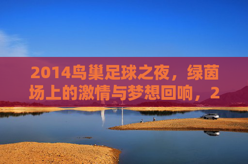 2014鸟巢足球之夜，绿茵场上的激情与梦想回响，2014鸟巢足球之夜，绿茵场上的激情与梦想回响