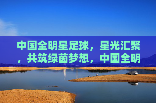 中国全明星足球,星光汇聚,共筑绿茵梦想,中国全明星足球,星光共筑绿茵梦